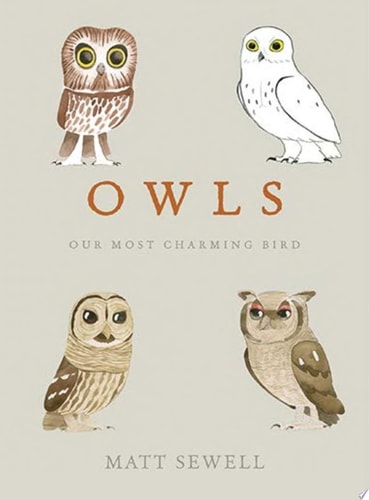 Owls Our Most Charming Bird