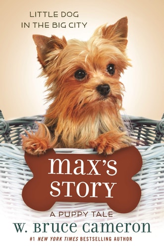 Max's Story A Puppy Tale