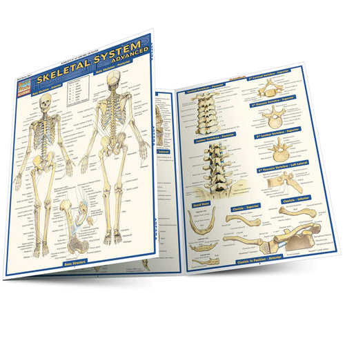 Skeletal System Advanced Reference Guide