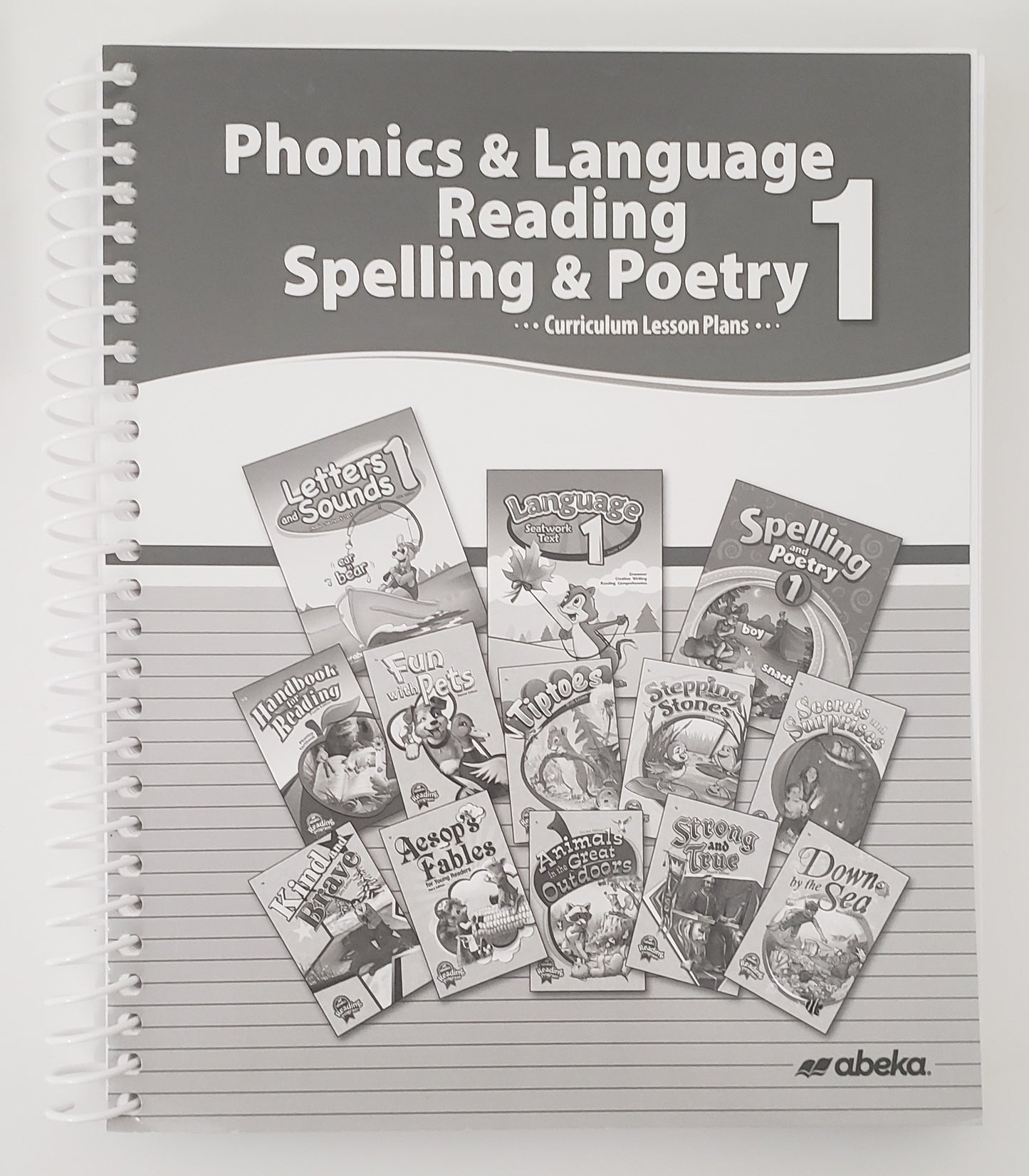 Phonics & Language Reading, Spelling, & Poetry Curriculum & Lesson Plans 1
