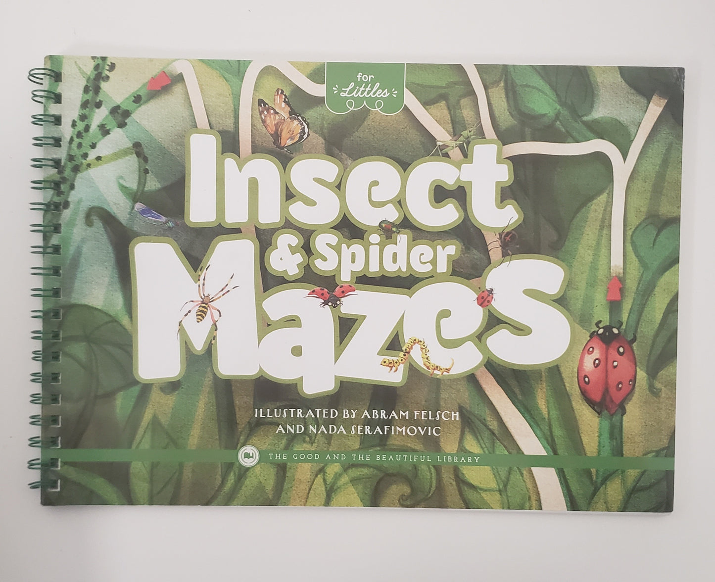 Insect & Spider Mazes
