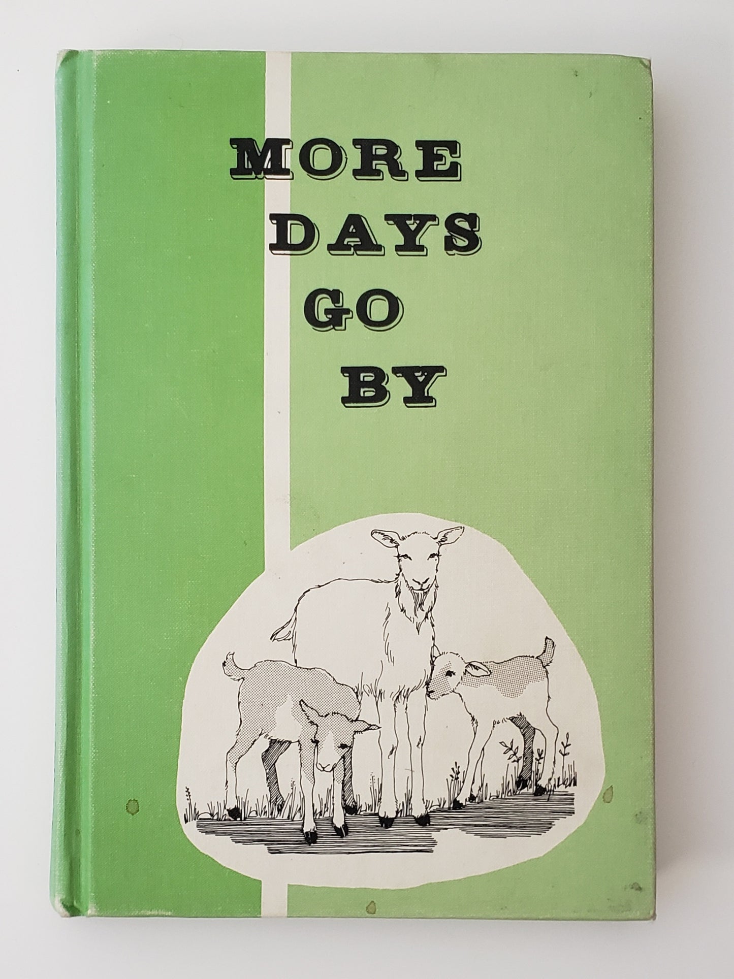 More Days Go By Grade 1 Reader