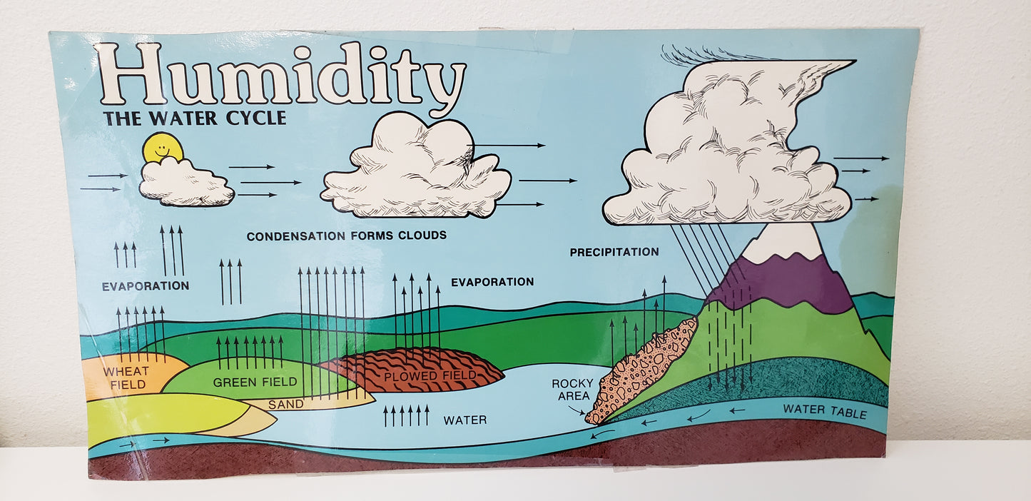 Water Cycle Chart