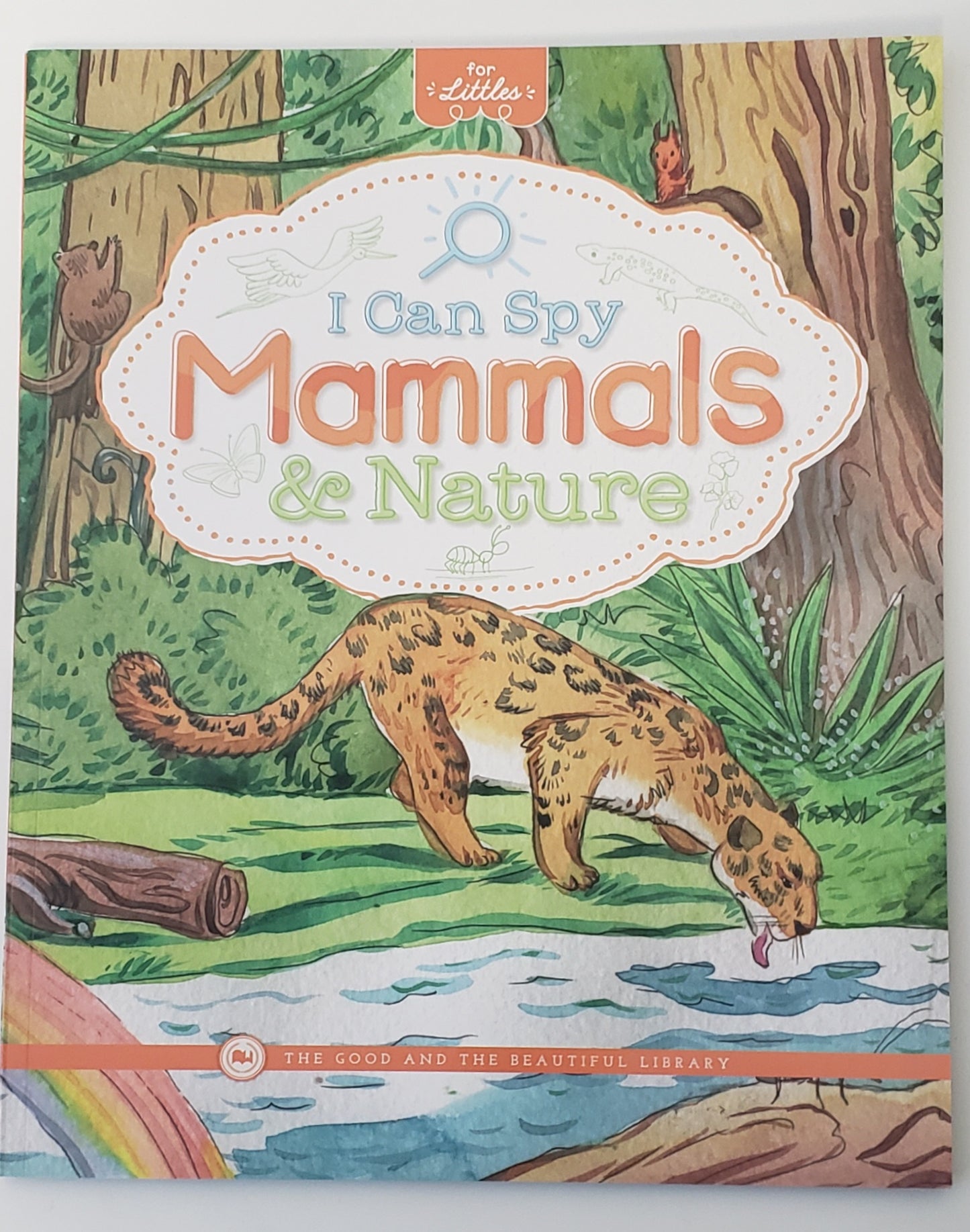 I Can Spy Mammals