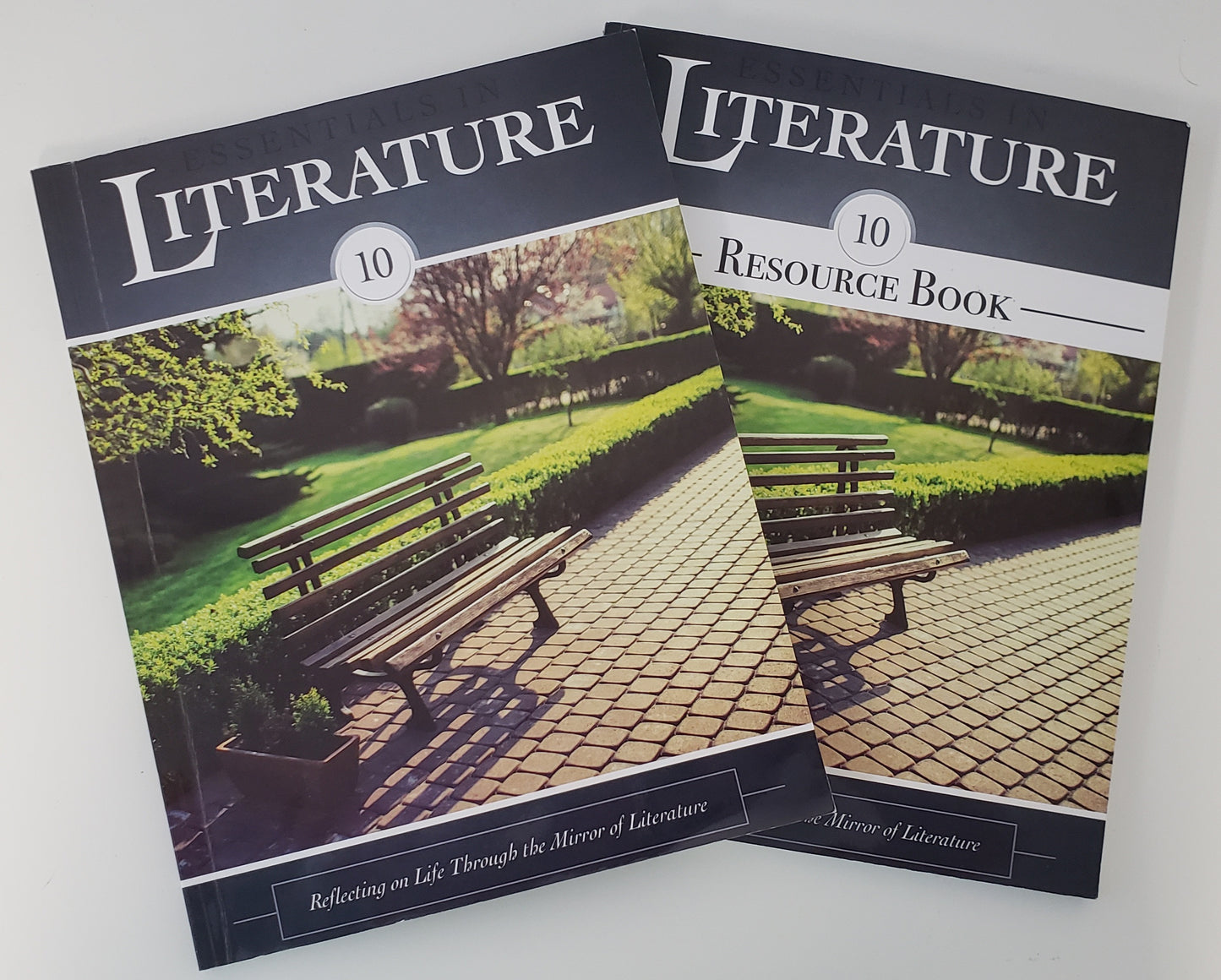 Essentials in Literature 10 Set