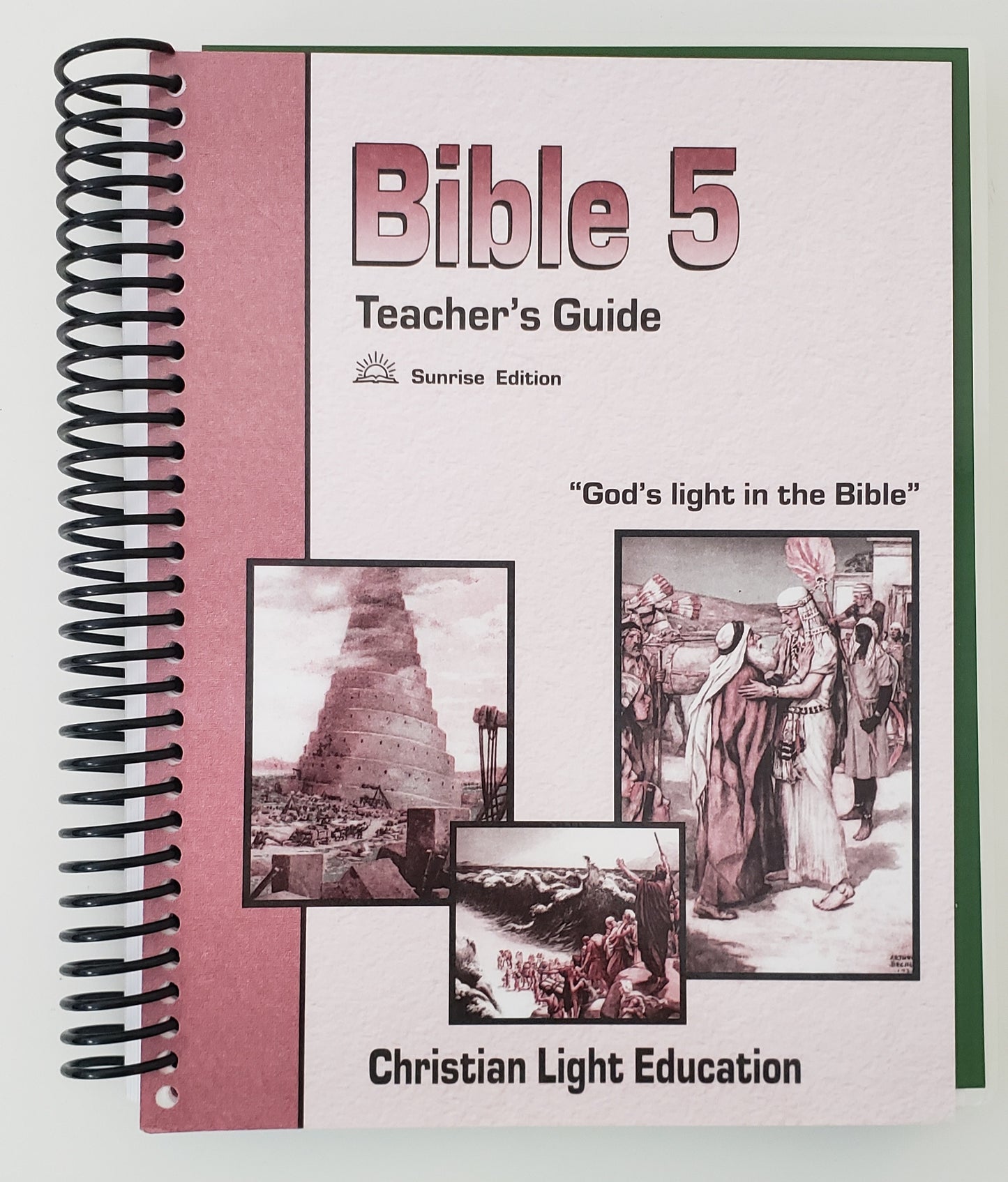 Bible 5 Teacher's Guide