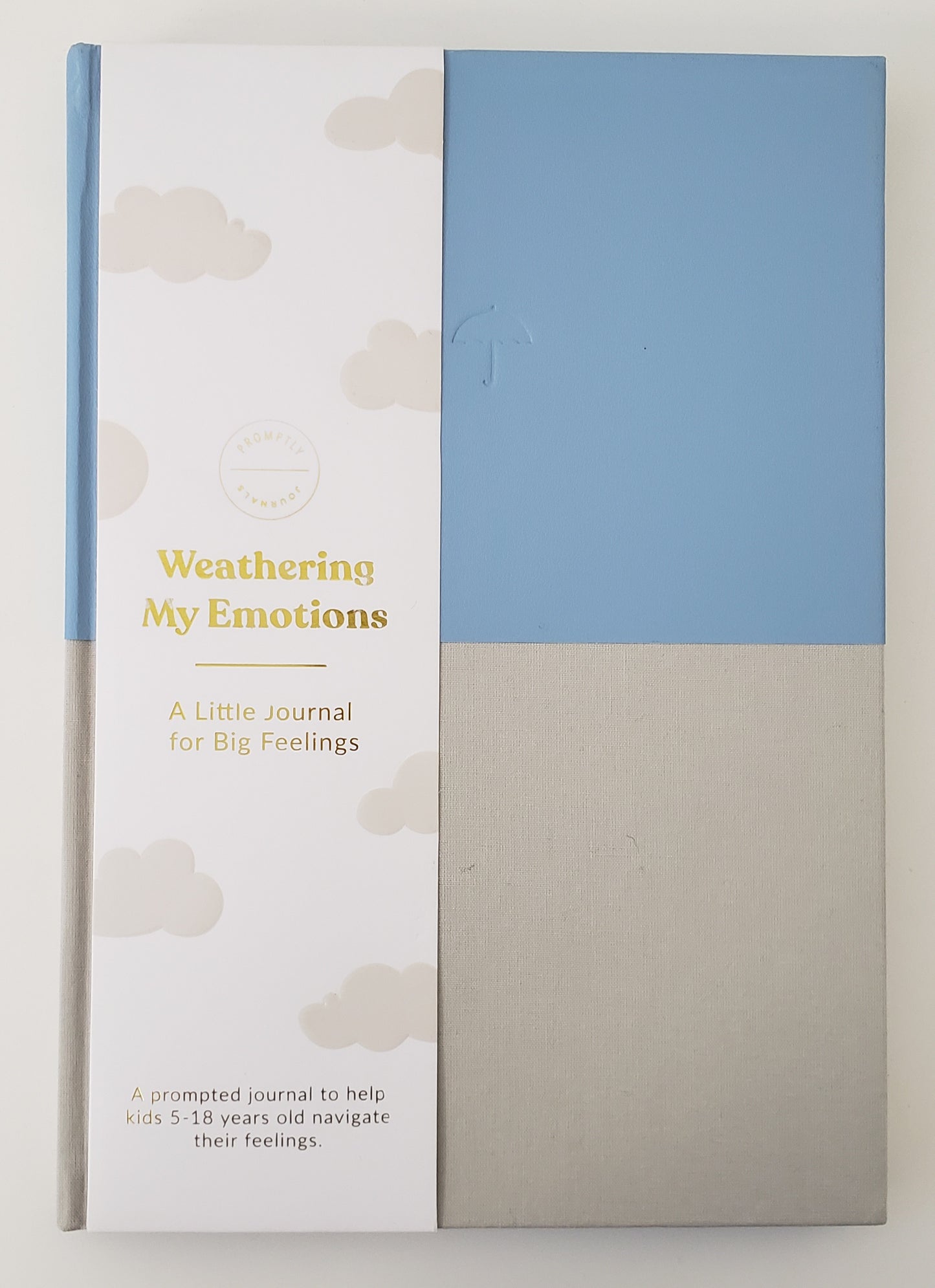 Weathering My Emotions: A Little Journal for Big Feelings