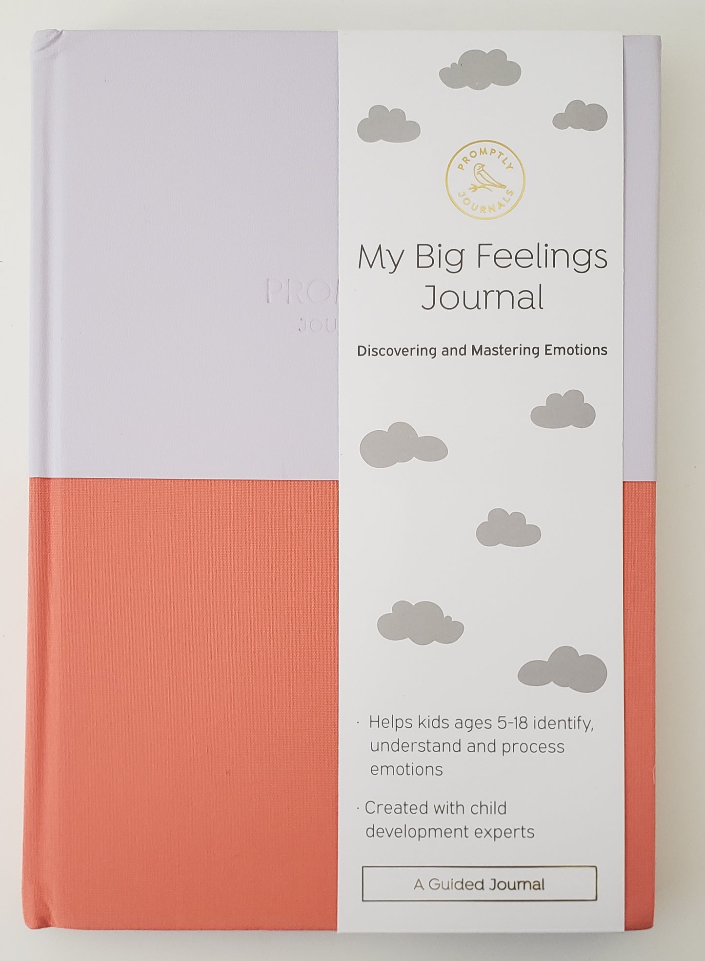 My Big Feelings Journal