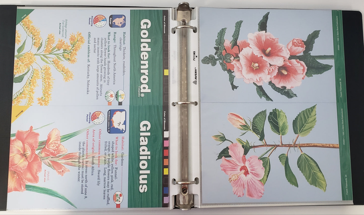 Flowers Flashcards