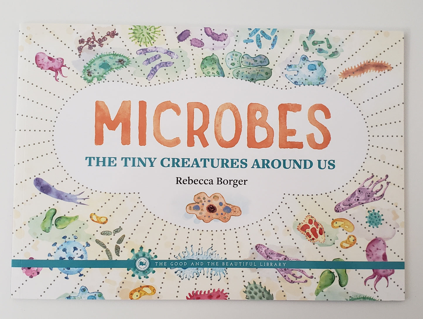 Microbes The Tiny Creatures Around Us
