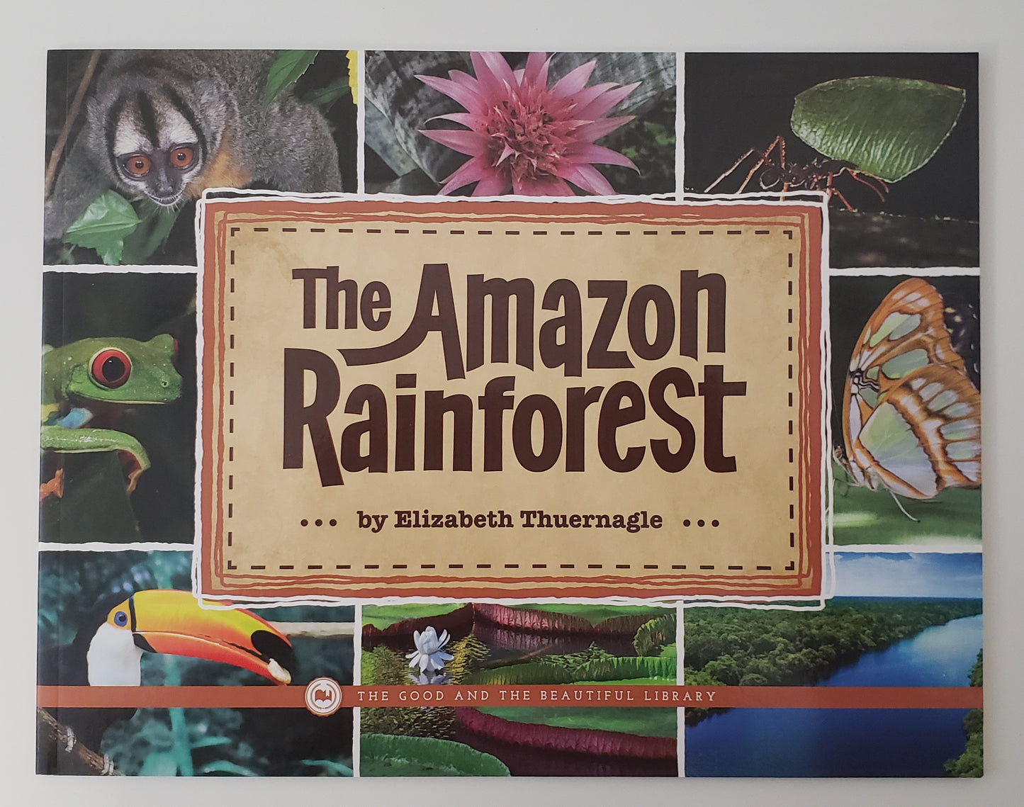 The Amazon Rainforest