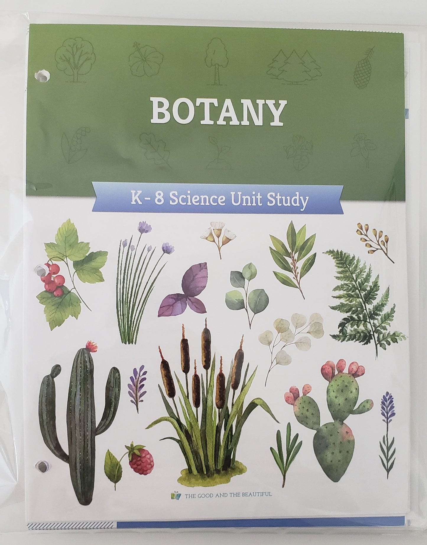 Botany Course Book