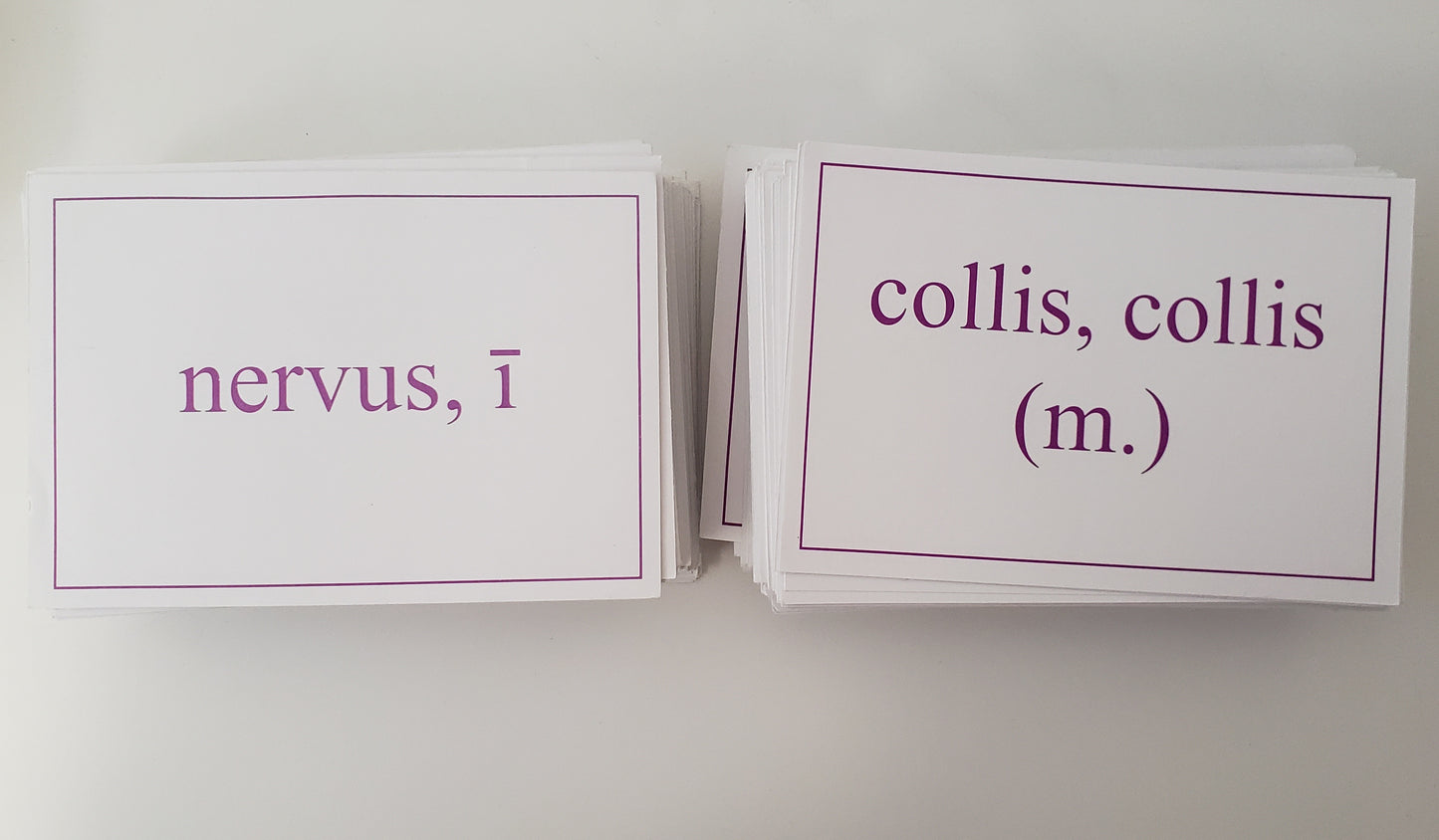 Large Latin Flashcards (approx. 250)