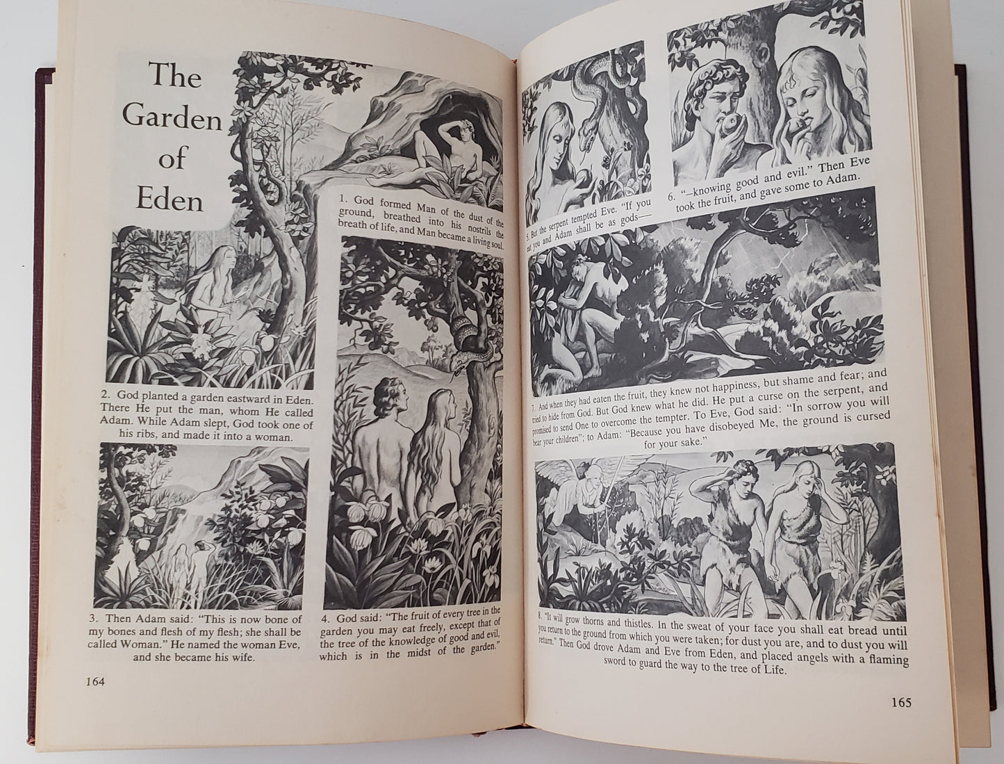 The Bible in Pictures