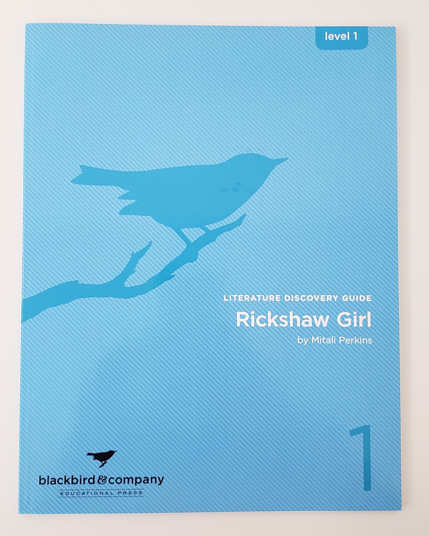 Rickshaw Girl Literature Discovery Guide