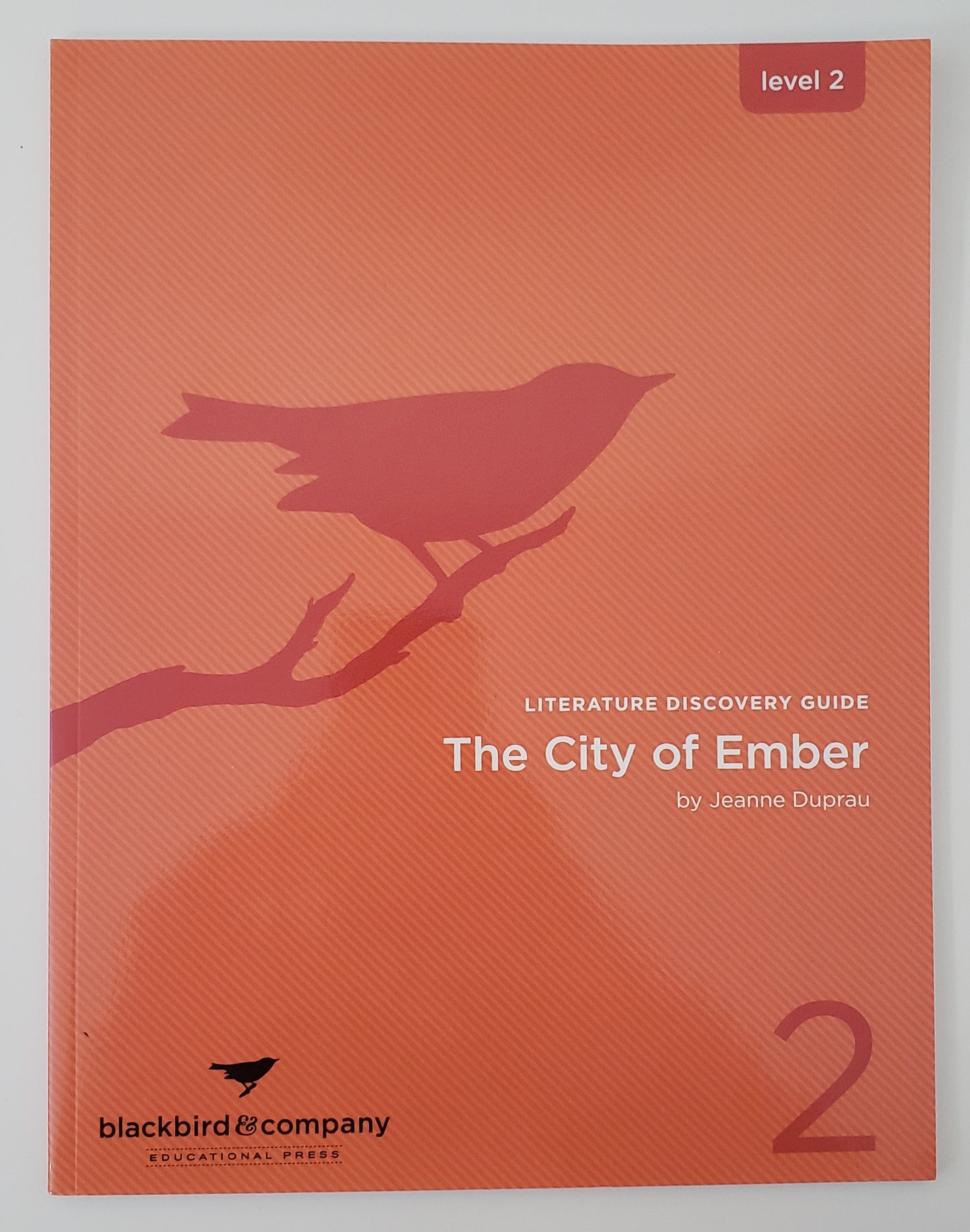 The City of Ember Literature Discovery Guide