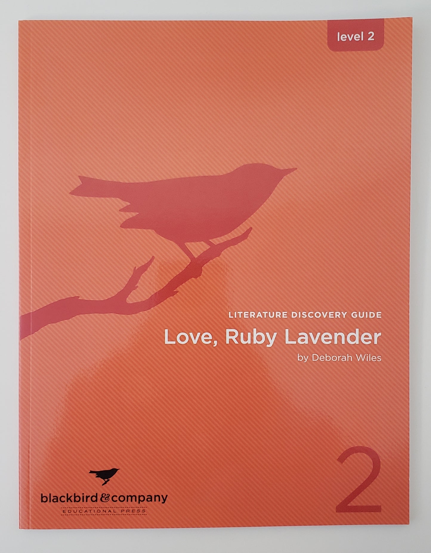Love, Ruby Lavender Literature Discovery Guide
