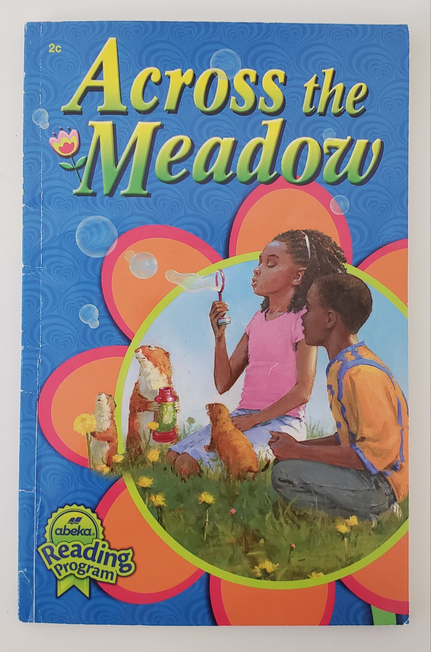 Across the Meadow