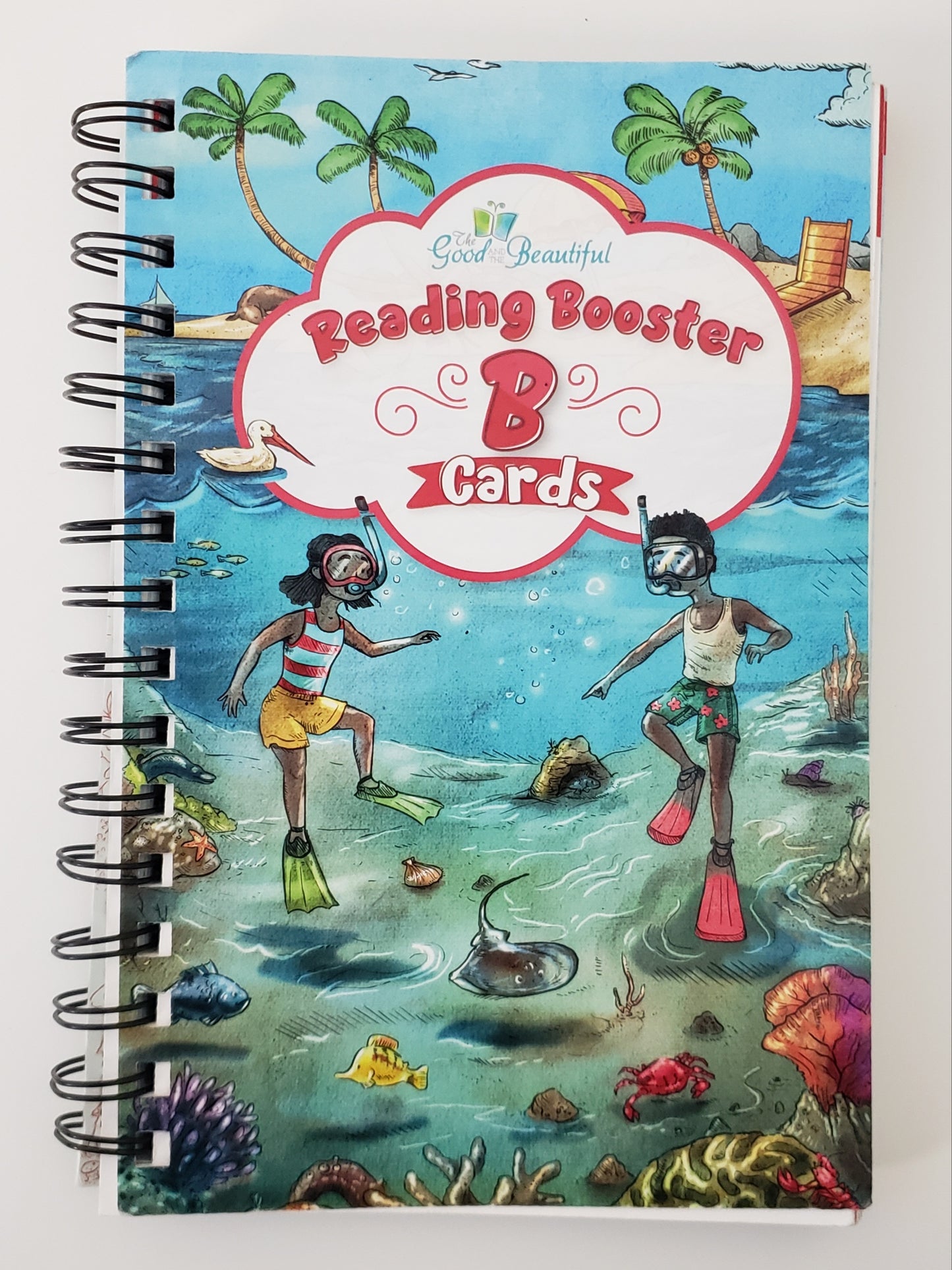 Reading Booster B Cards