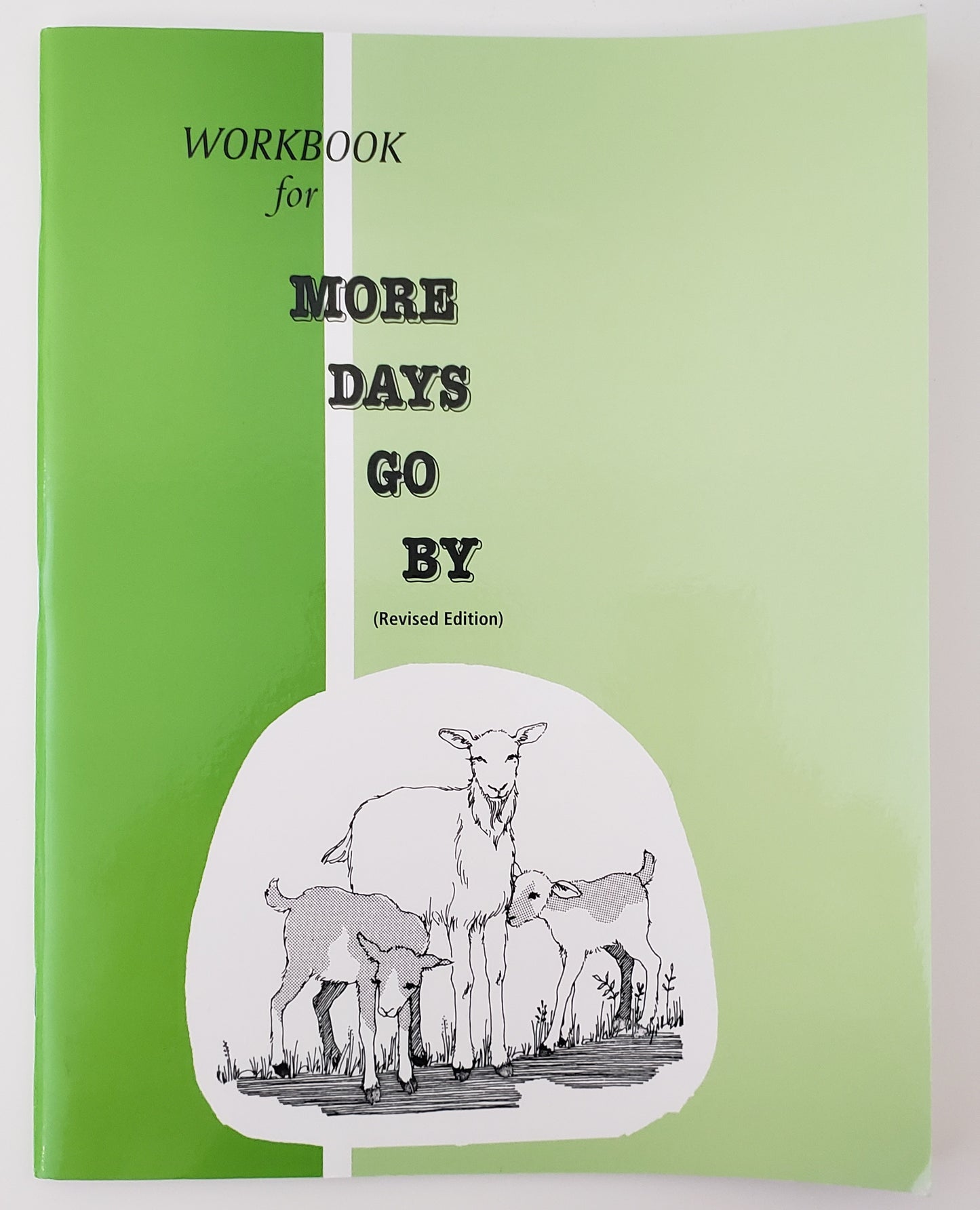 More Days Go By Workbook