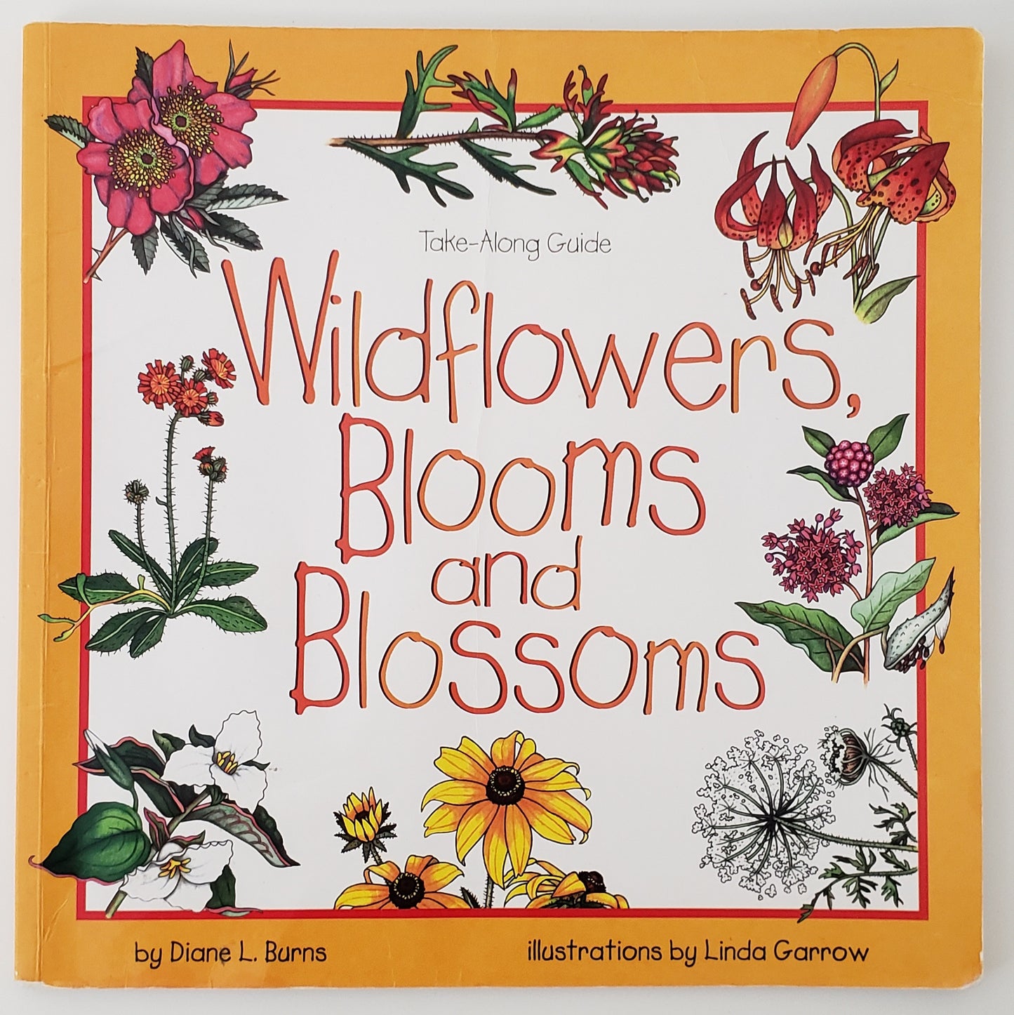 Wildflowers, Blooms & Blossoms