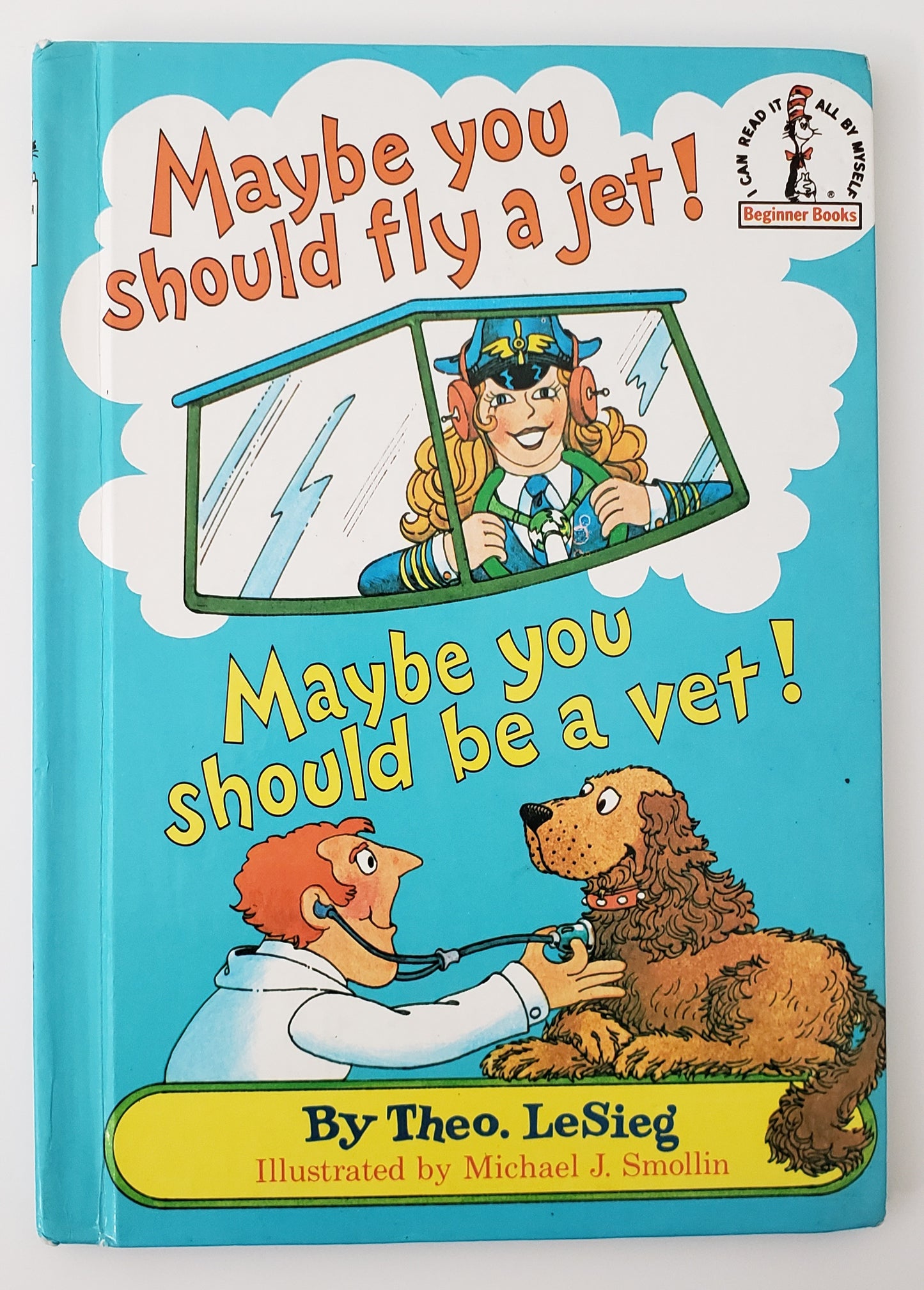Maybe You Should Fly a Jet! Maybe You Should Be a Vet! (Beginner Books)