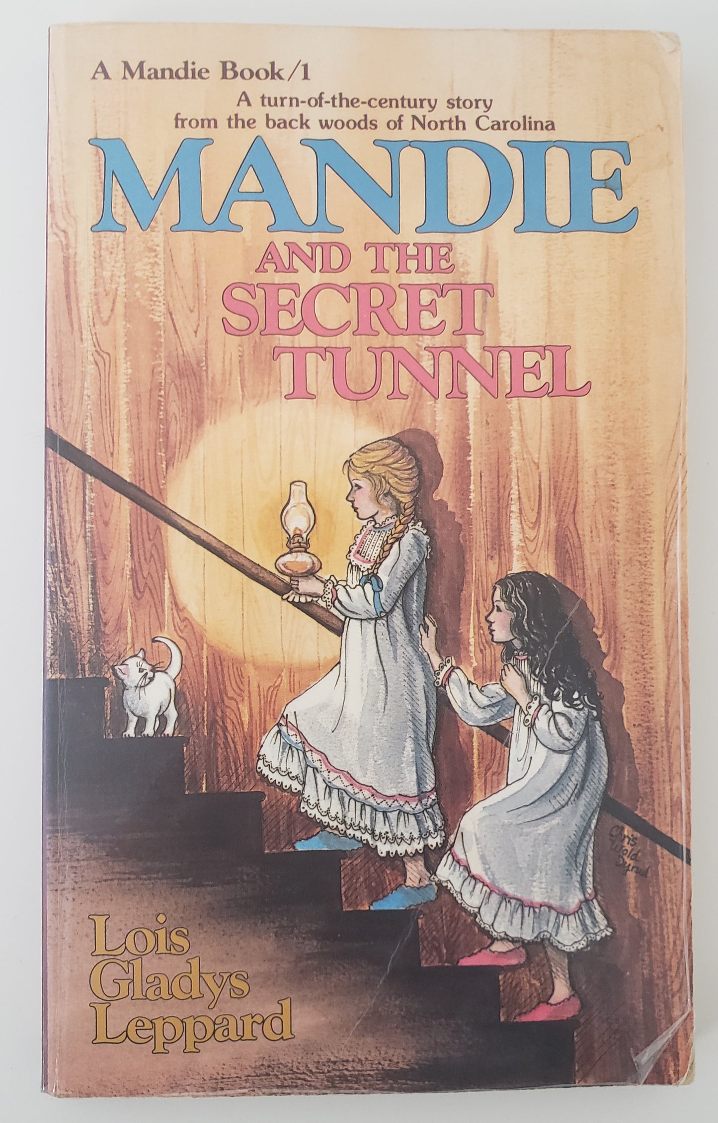 Mandie and the Secret Tunnel