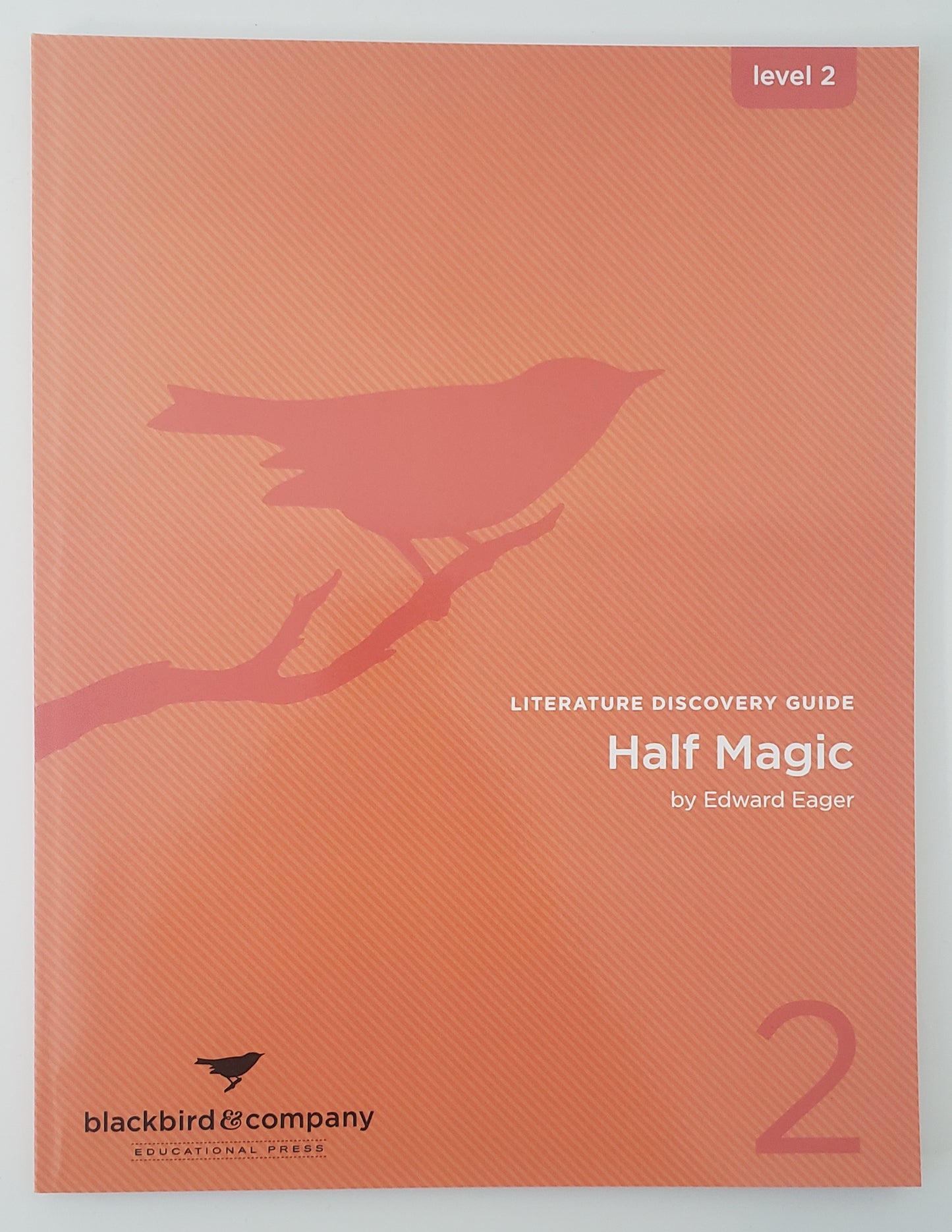Half Magic Literature Discovery Guide