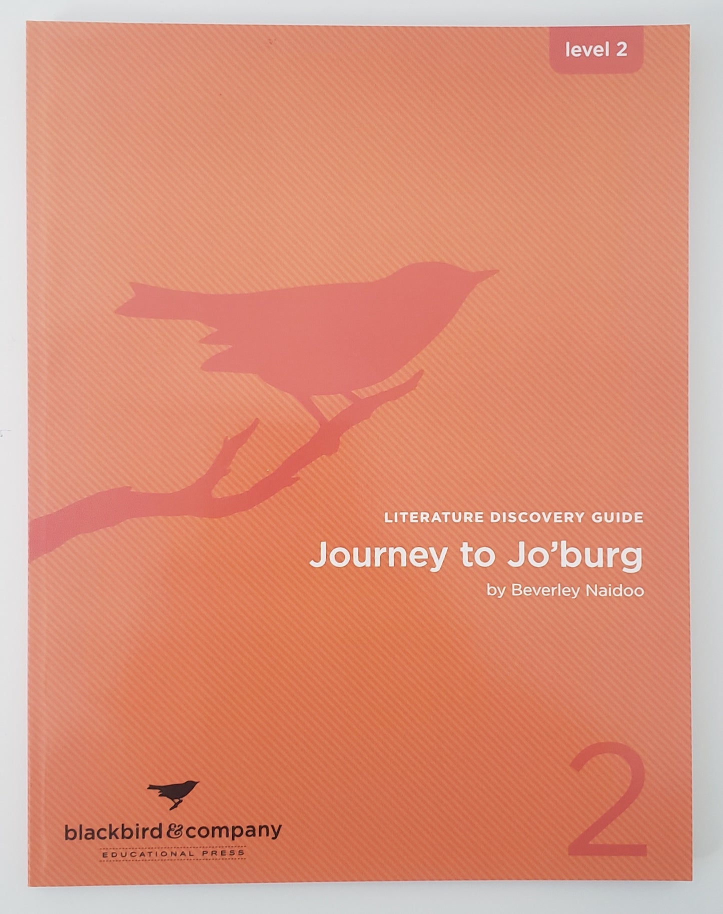 Journey to Jo'burg - Literature Discovery Guide