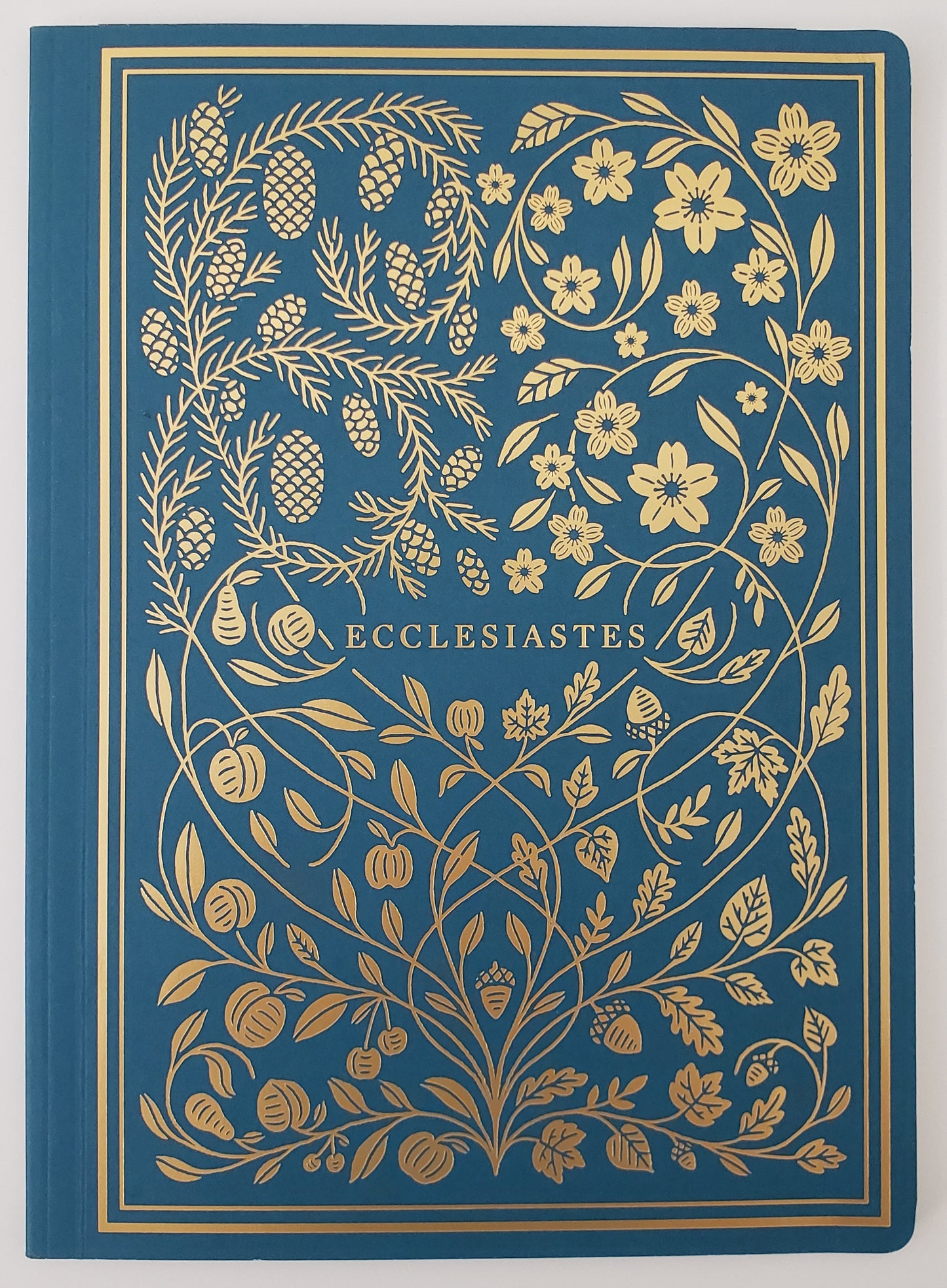 ESV Illuminated Scripture Journal: Ecclesiastes