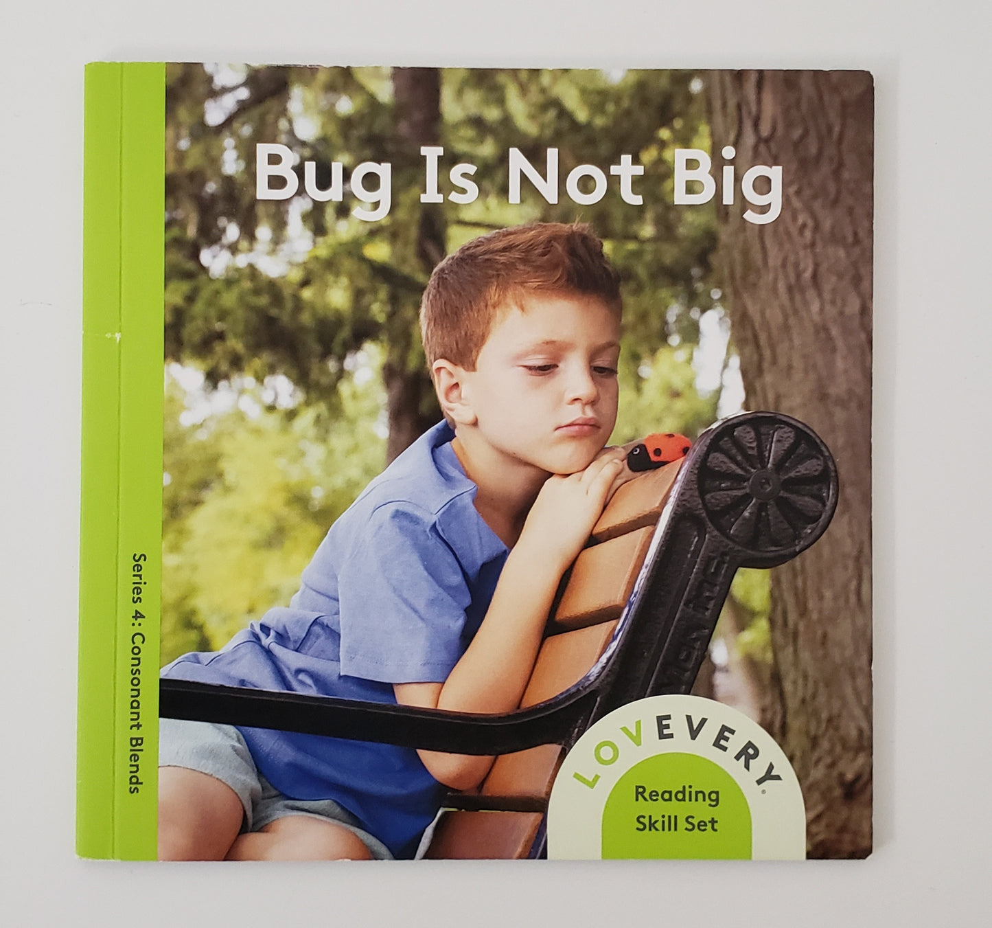 Bug is Not Big