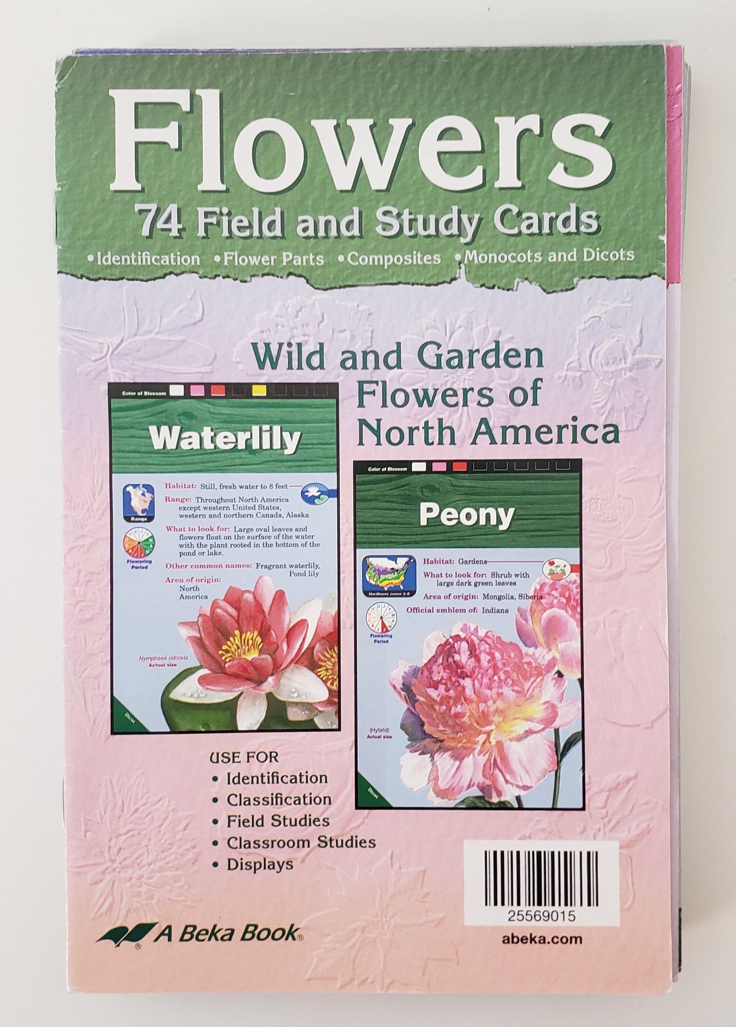 Flowers Field and Study Cards