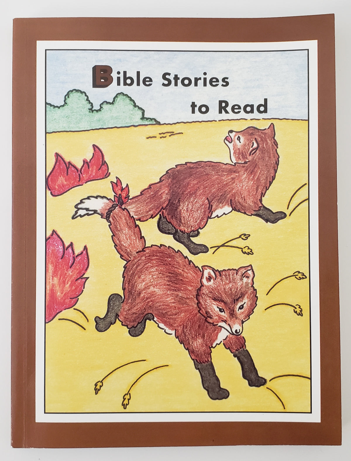Bible Stories to Read
