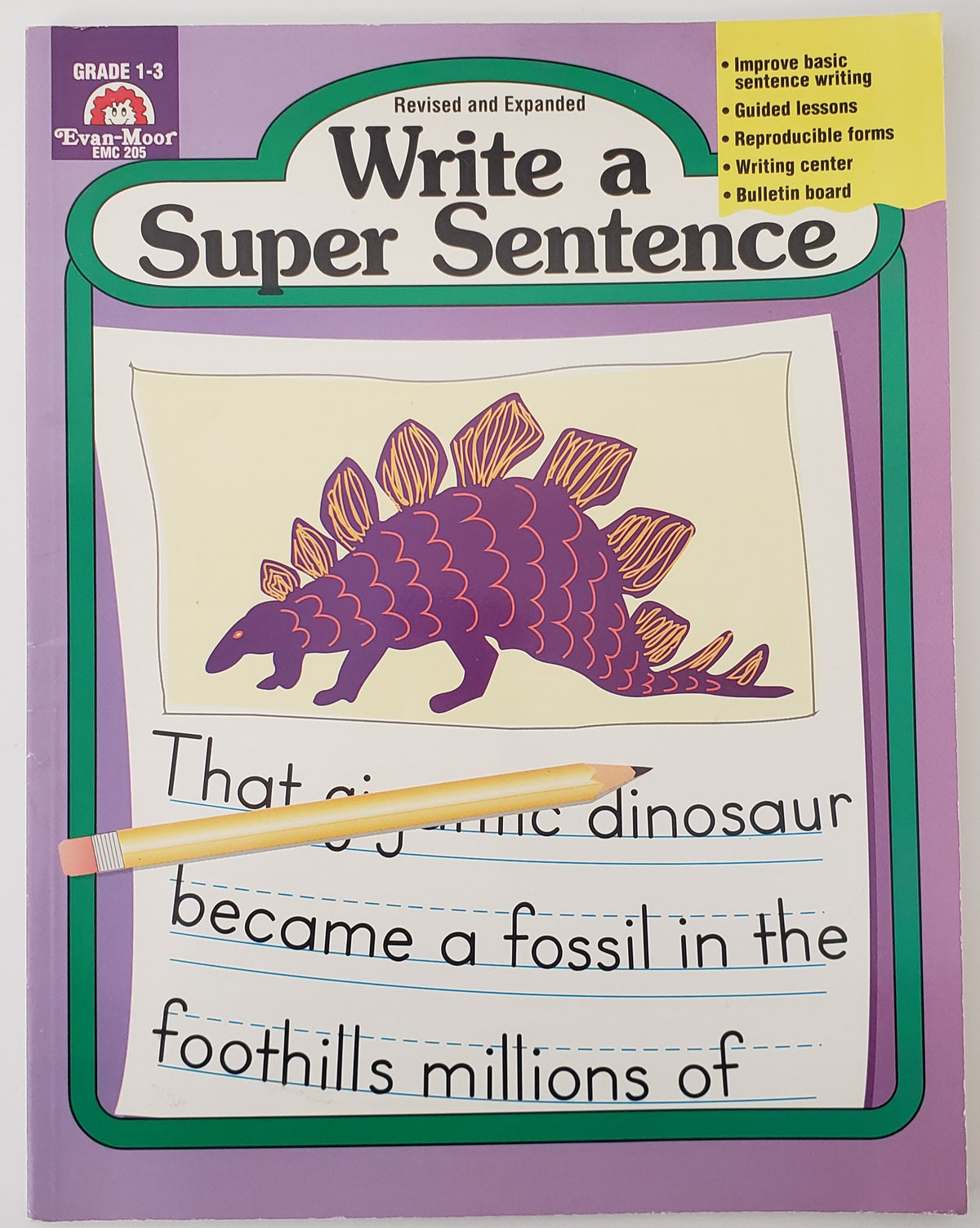 Write a Super Sentence