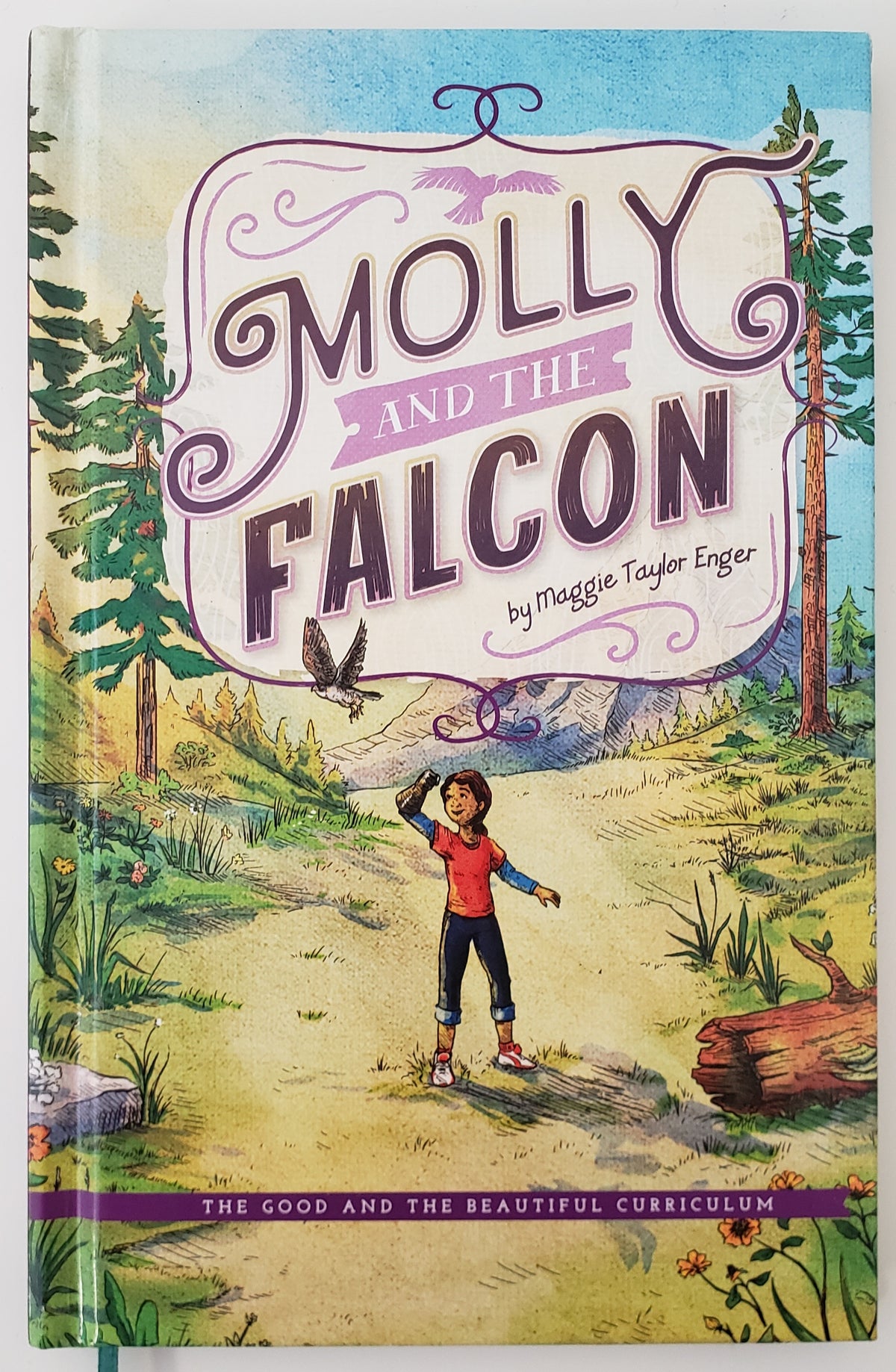 Molly & The Falcon
