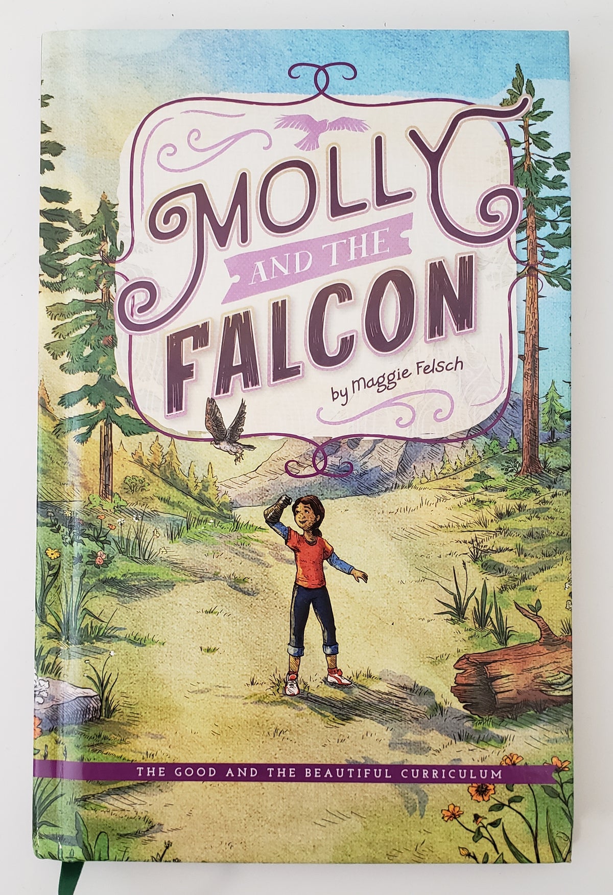 Molly & The Falcon