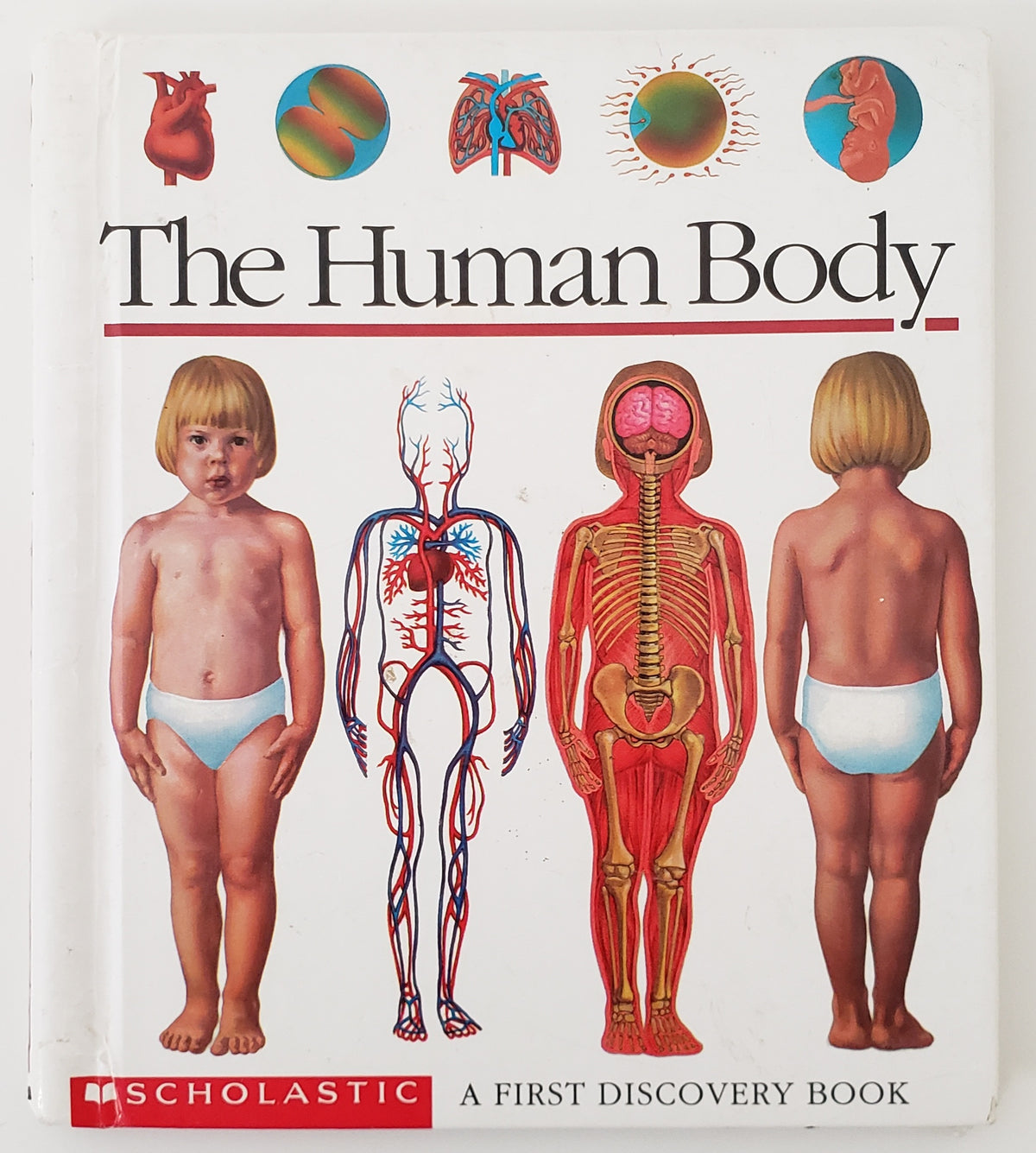 The Human Body: A First Discovery Book