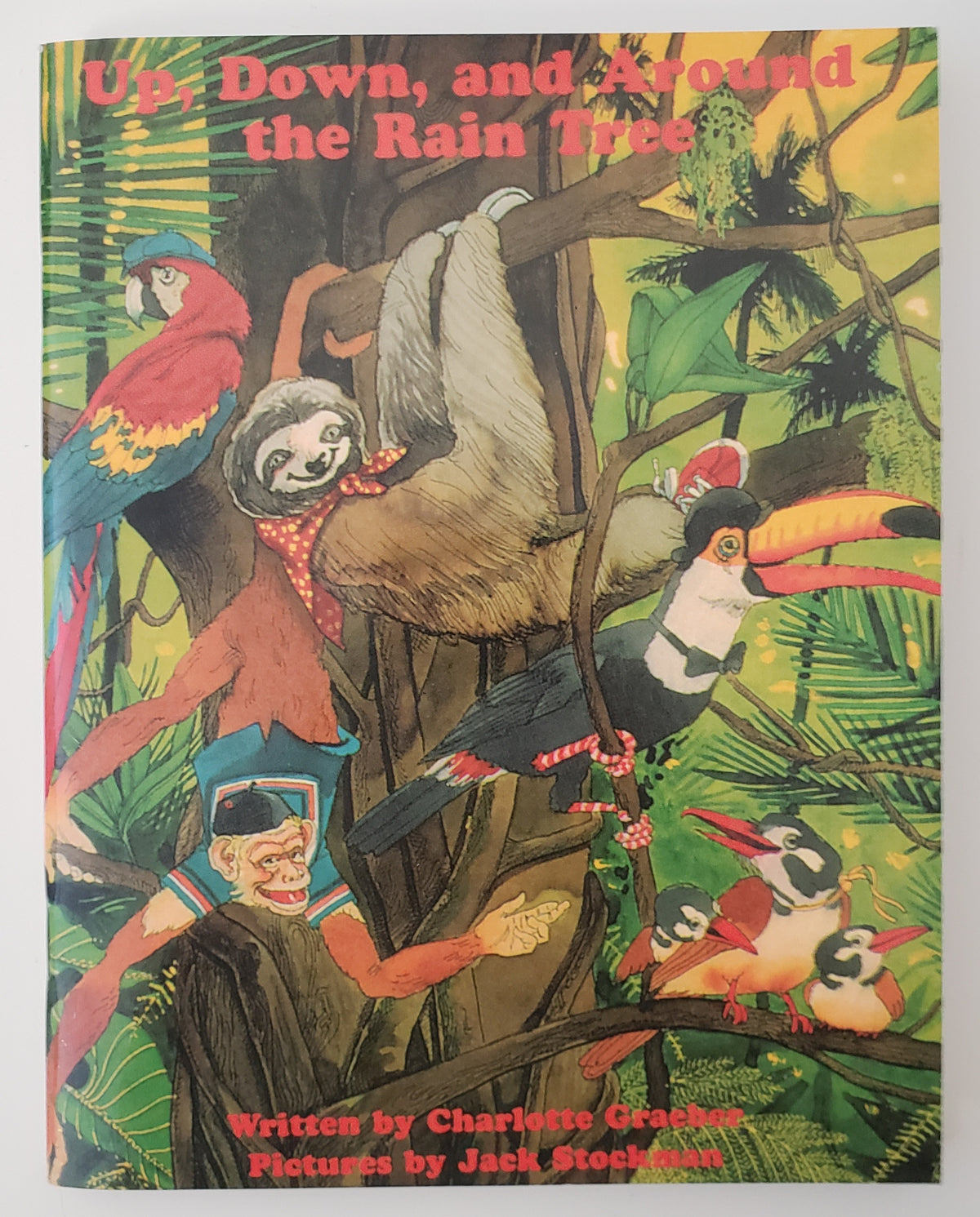 Up, Down, and Around the Raintree