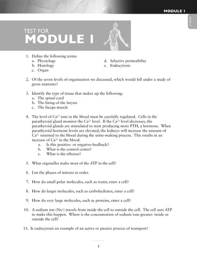 Exploring Creation with Chemistry 3rd Edition, Test Pages
