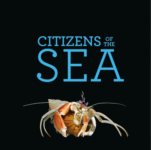 Citizens of the Sea Wondrous Creatures from the Census of Marine Life