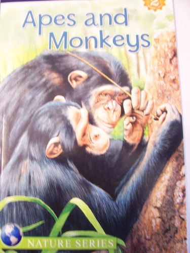 Apes and Monkeys