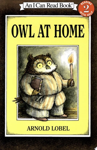 Owl at Home