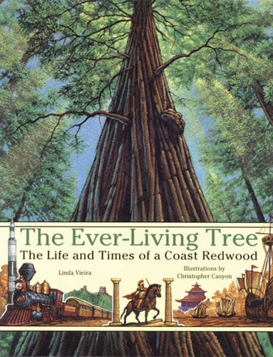 The Ever-living Tree The Life and Times of a Coast Redwood
