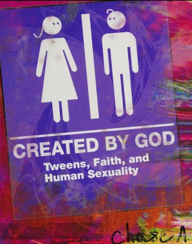 Created by God Student Book: Tweens, Faith, and Human Sexuality