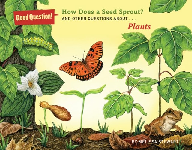 How Does a Seed Sprout? And Other Questions about Plants