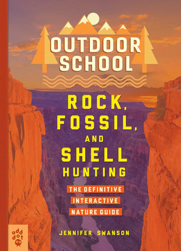 Rock, fossil and shell hunting