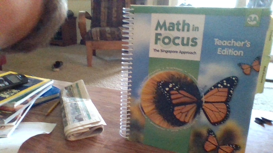 Math in Focus: Singapore Math Book a Grade 3