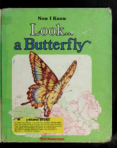 Look--a Butterfly