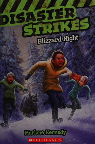 Blizzard Night (Disaster Strikes #3) (3)