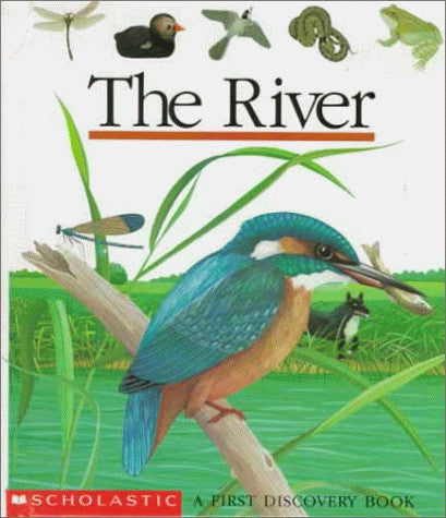 The River